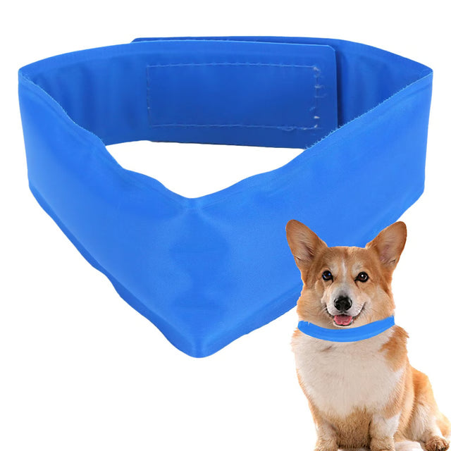 Paw Print Wooden Leash Hanger for Dogs and Pet Lovers
