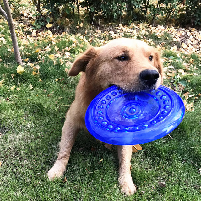 Soft Rubber Dog Flying Discs: Fun Saucer Toys for Small, Medium & Large Dogs - Bite-Resistant, Agile Training Gear