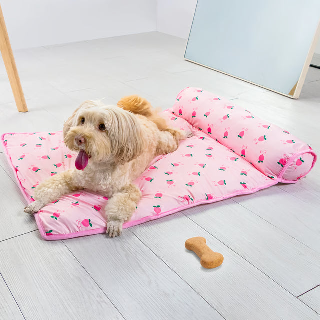 Dog Cooling Sofa Bed
