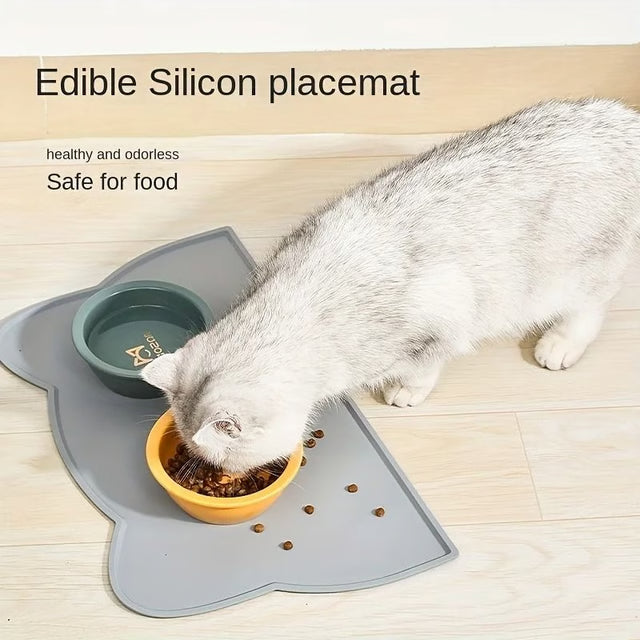 Silicone Pet Feeding Mat with Raised Edge